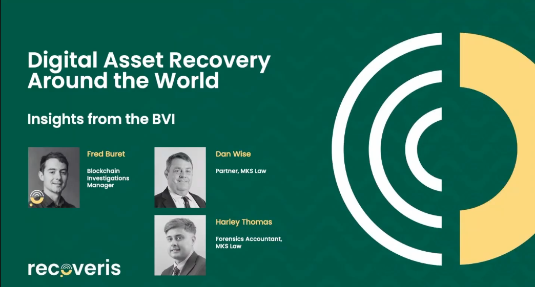 Digital asset recovery in the British Virgin Islands: navigating high-stakes crypto disputes